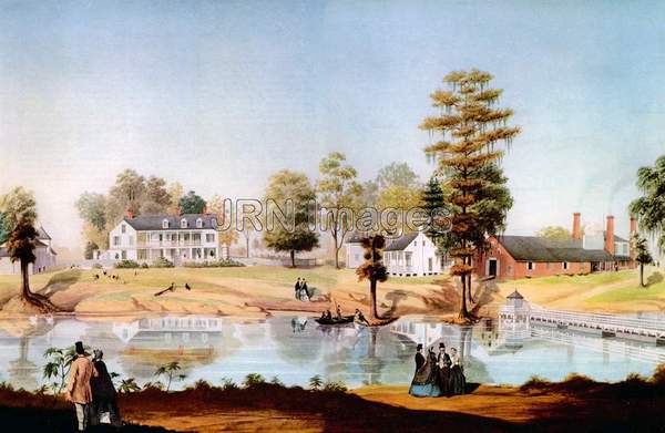 Louisiana Plantation, c. 1859