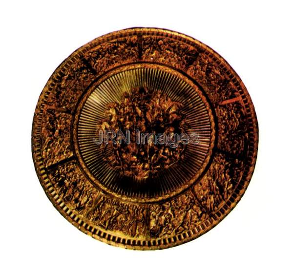 Wellington shield