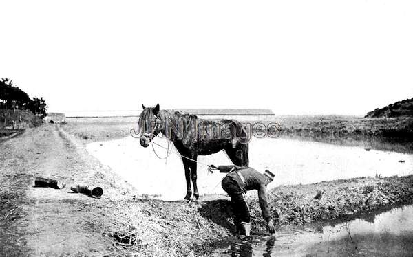 Imperial Japanese Army cavalryman