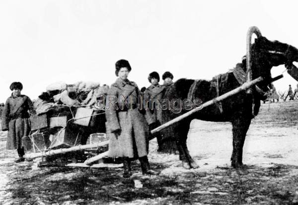 Horse-drawn sledges