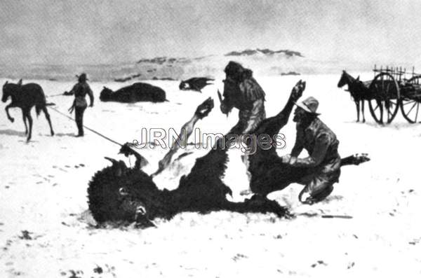 Two fur traders skin deceased buffalo