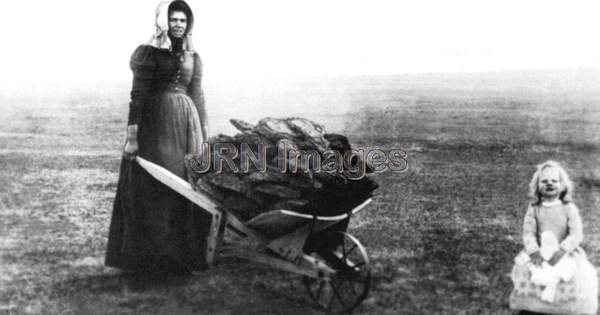 1800's wife harvesting buffalo chips