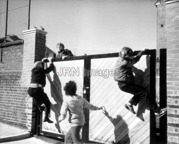 Terry on the Fence