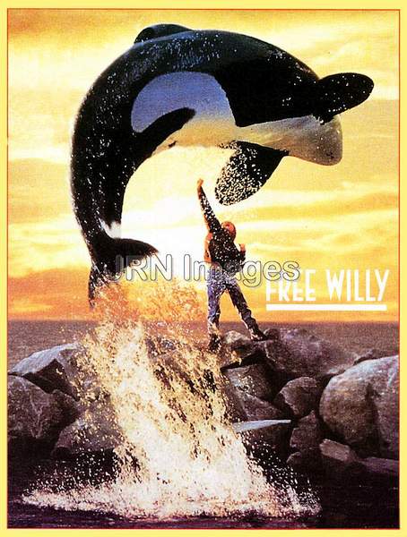 Free Willy