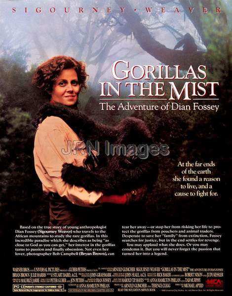 Gorillas in the Mist, The Adventure of Dian Fossey