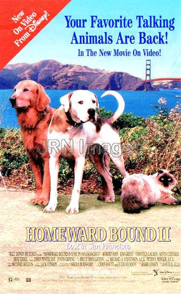 Homeward Bound II, Lost in San Francisco