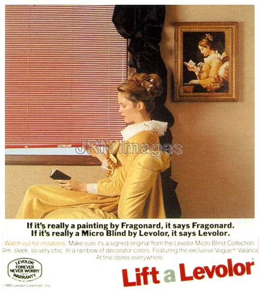 Levolor Blinds