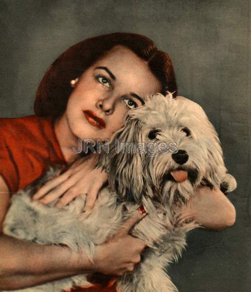 Woman hugging a shaggy dog