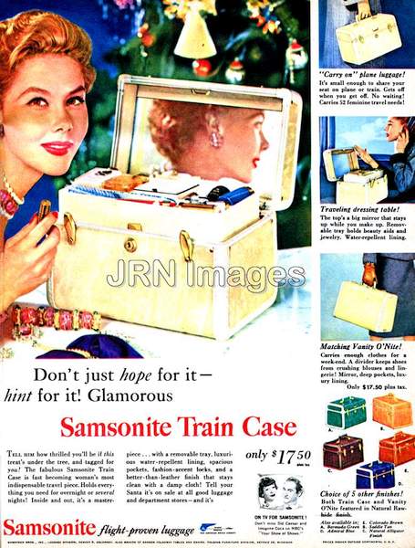 Samsonite train case