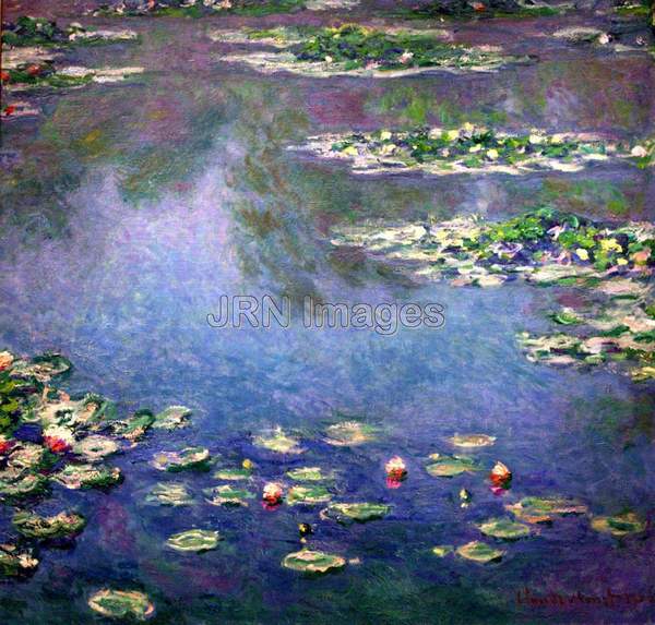 Water Lilies