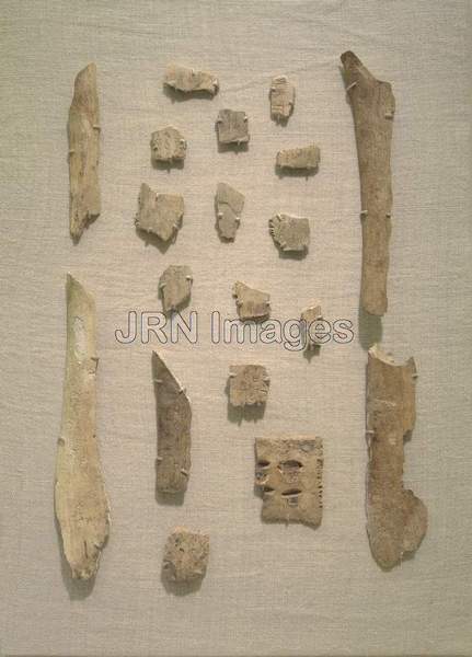 Oracle Bones