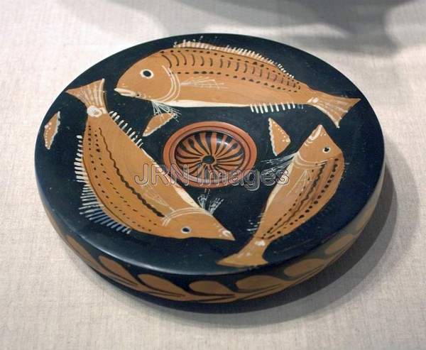 Fish-Plate