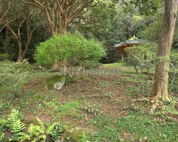 Gazebo and Garden at Byodo-In Temple; 1968; 47-200...