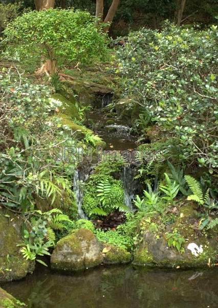 Pond and Garden at Byodo-In Temple; 47-200...