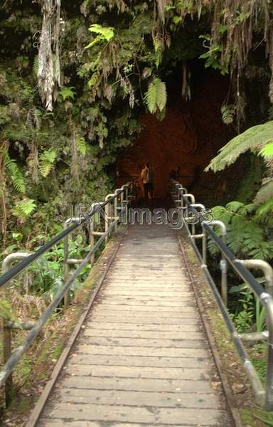 Thurston Lava Tube; Hawaii Volcanoes National Park