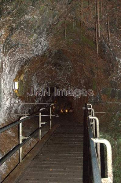 Thurston Lava Tube; Hawaii Volcanoes National Park