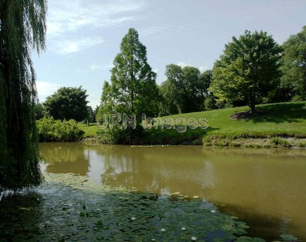 Aquatic Garden at the Chicago Botanic Garden