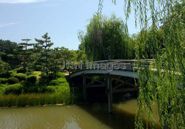 Japanese Garden