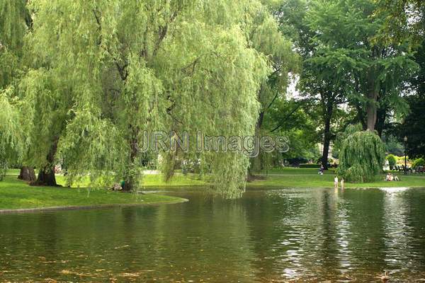 Public Garden