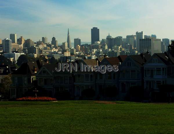 Painted Ladies