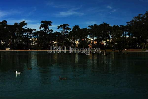 Alcatraz Island