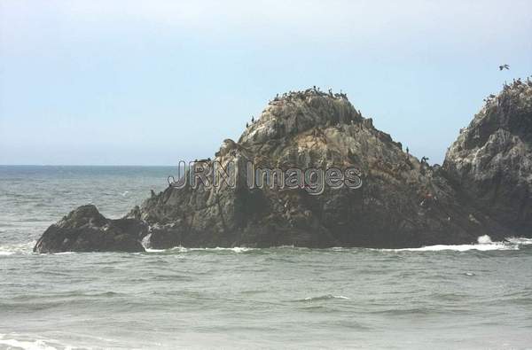 Seal Rocks