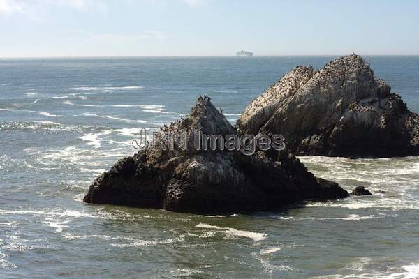 Seal Rocks