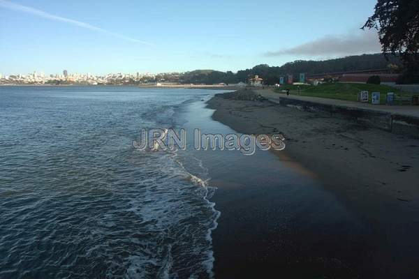 Crissy Field