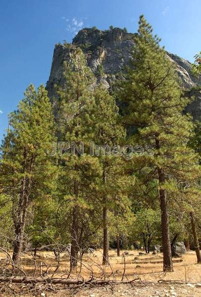 Lower Cathedral Rock