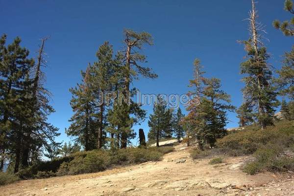 Sentinel Dome Trail