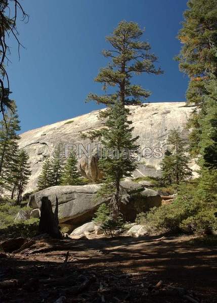 Sentinel Dome