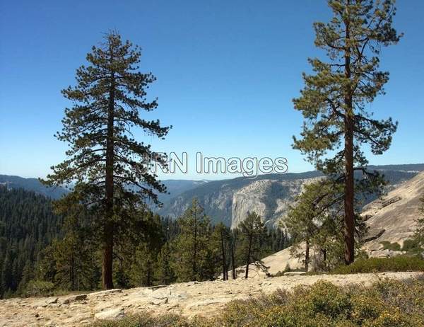 Sentinel Dome Trail