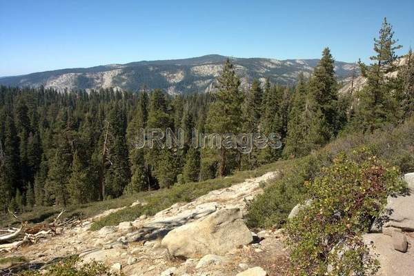 Sentinel Dome Trail