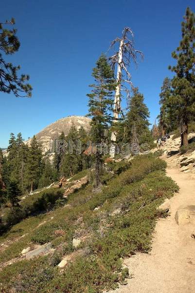 Sentinel Dome Trail