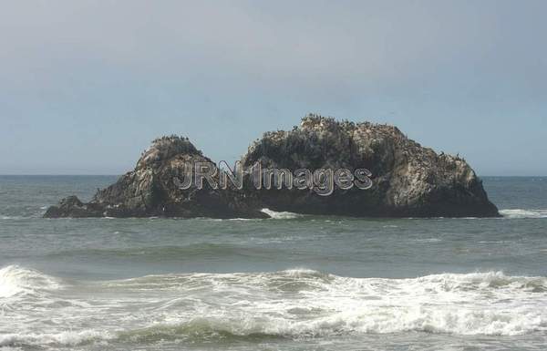 Seal Rocks