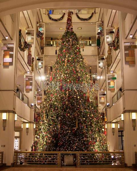 Christmas Tree at 900 North Michigan