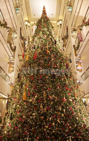 Christmas Tree at 900 North Michigan