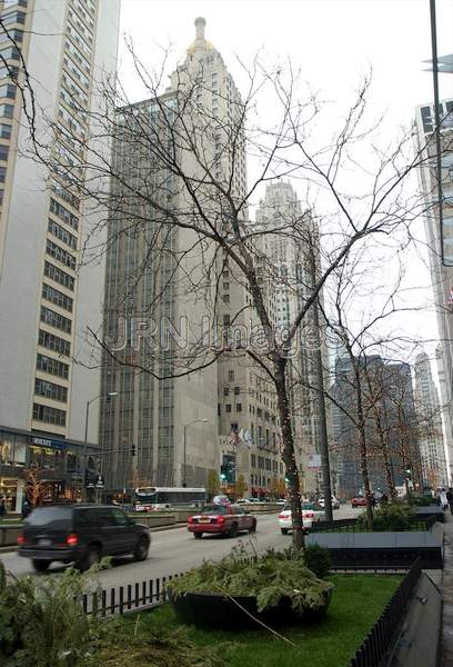 Michigan Avenue with Christmas Lights