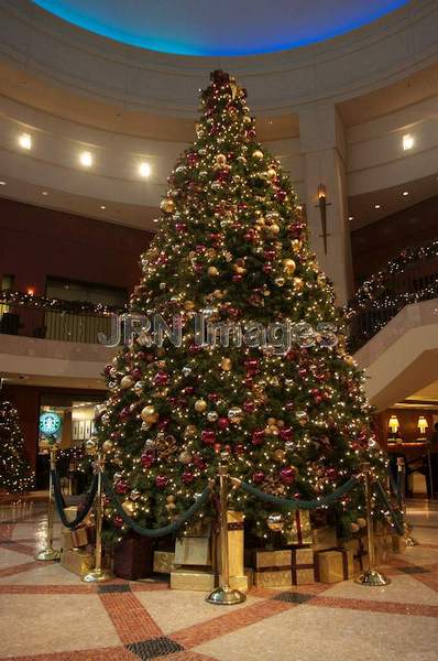 Christmas Tree at Intercontinental Hotel