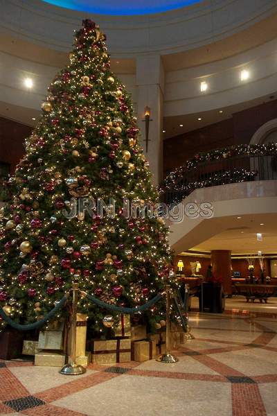 Christmas Tree at Intercontinental Hotel