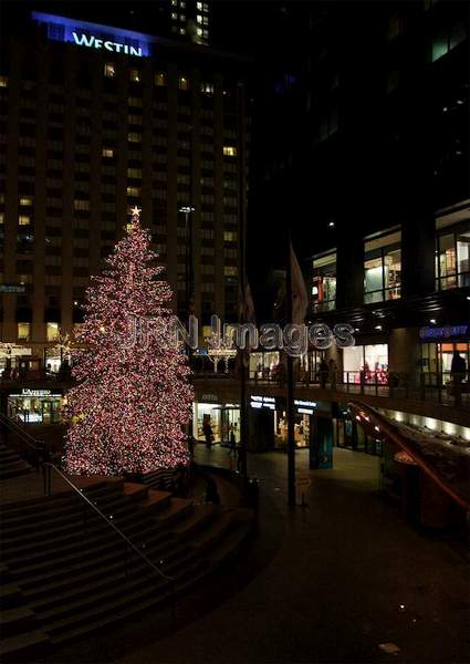 Christmas Tree at John Hancock Center