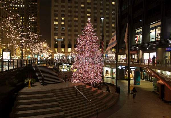 Christmas Tree at John Hancock Center