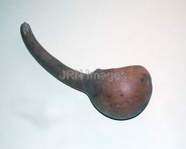 Indian Gourd Dipper