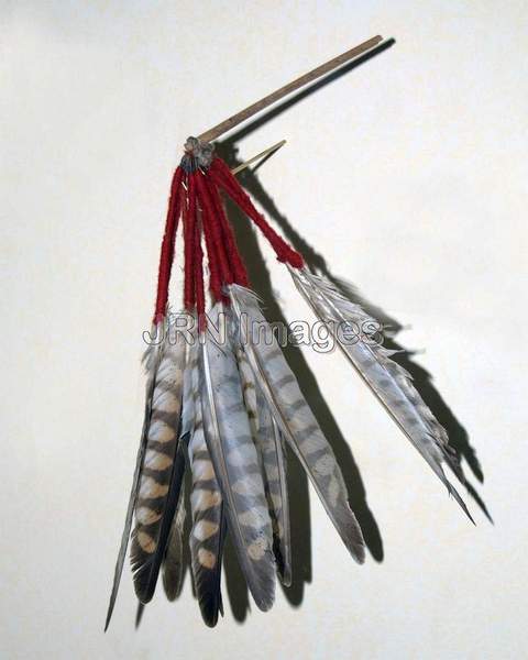 Indian Chicken hawk headdress