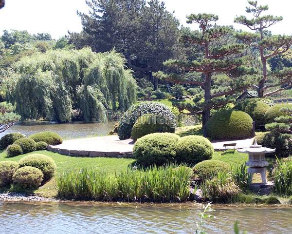 Japanese Garden