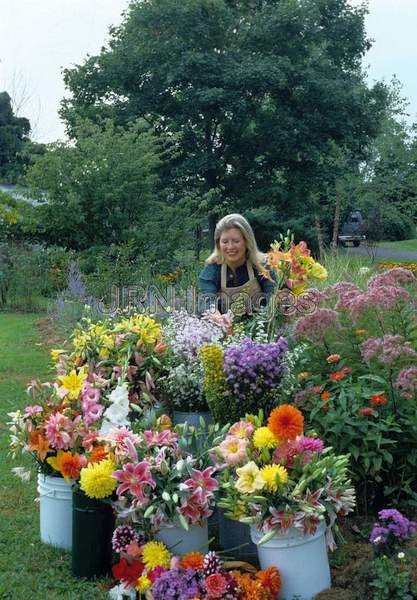 Cutting garden