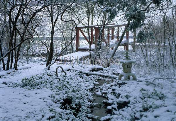 Japanese garden