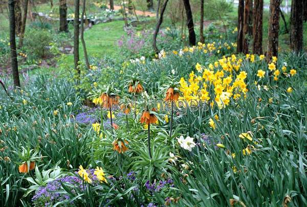 Bulb garden