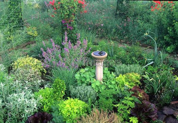 Herb garden