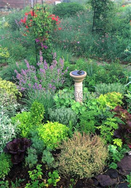 Herb garden